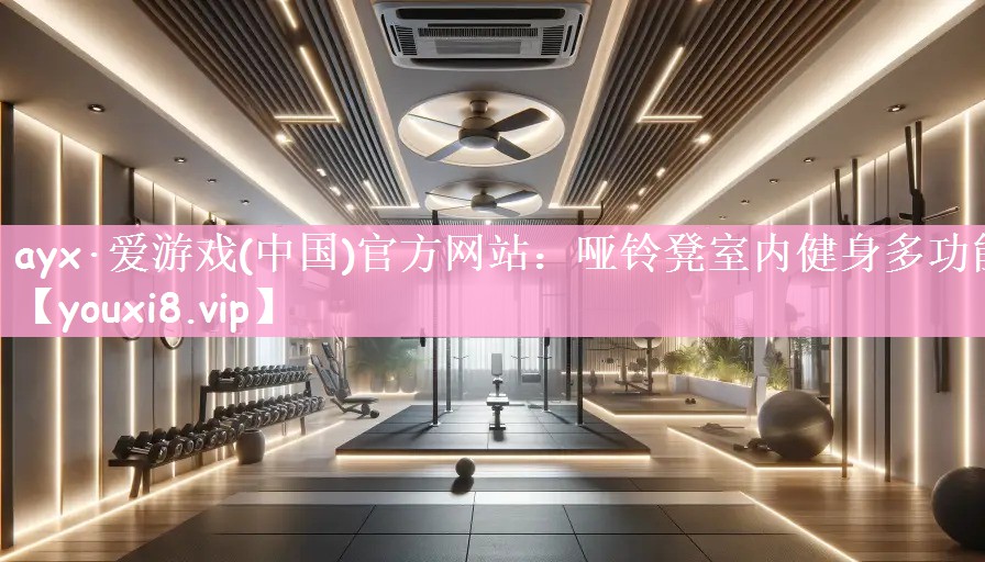 ayx·爱游戏(中国)官方网站：哑铃凳室内健身多功能