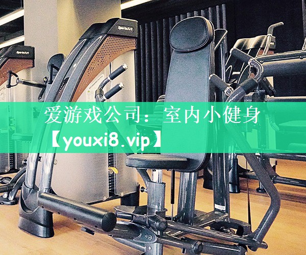 爱游戏公司：室内小健身