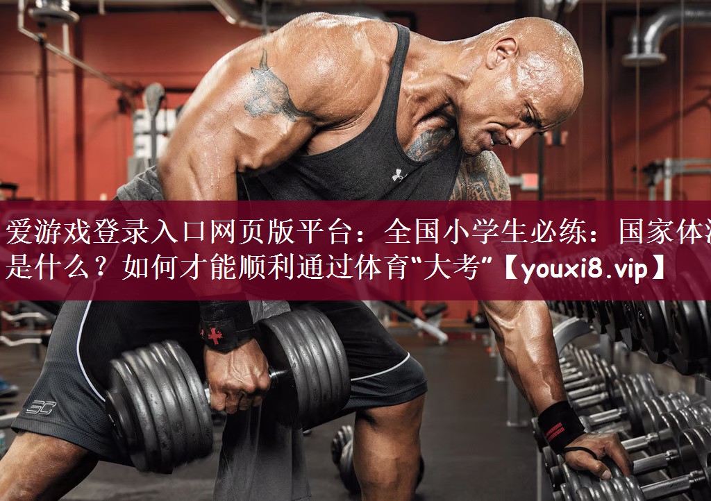 爱游戏登录入口网页版平台：全国小学生必练：国家体测是什么？如何才能顺利通过体育“大考”