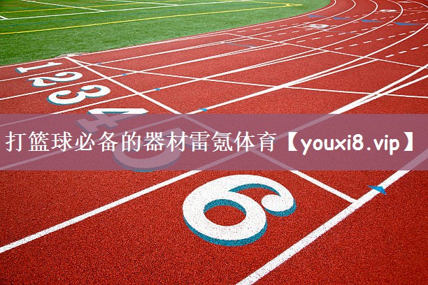 打篮球必备的器材雷氪体育