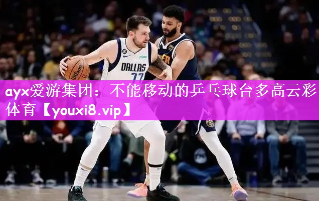 ayx爱游集团：不能移动的乒乓球台多高云彩体育