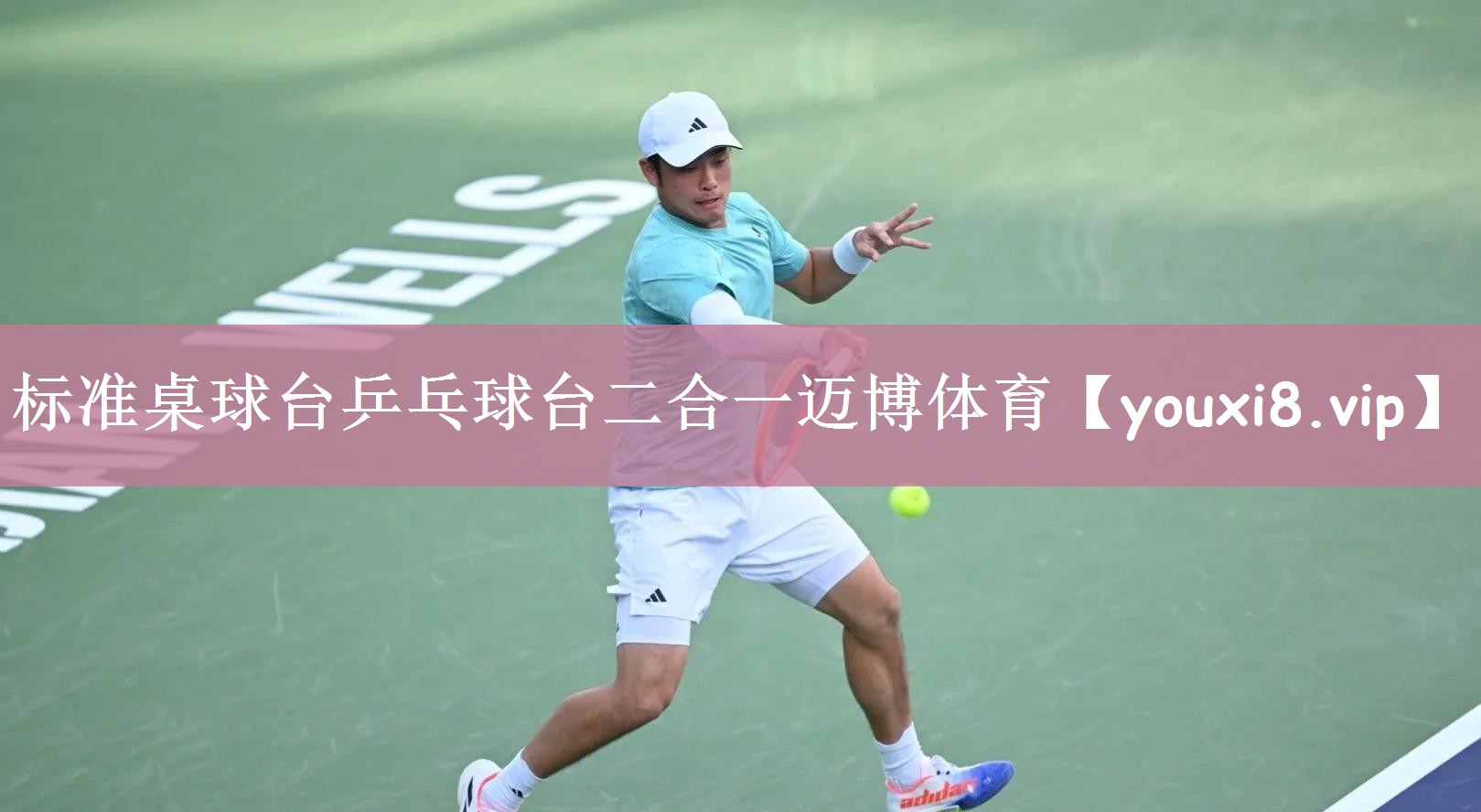 标准桌球台乒乓球台二合一迈博体育