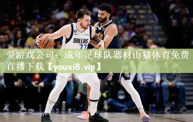 爱游戏公司：成年足球队器材山猫体育免费直播下载