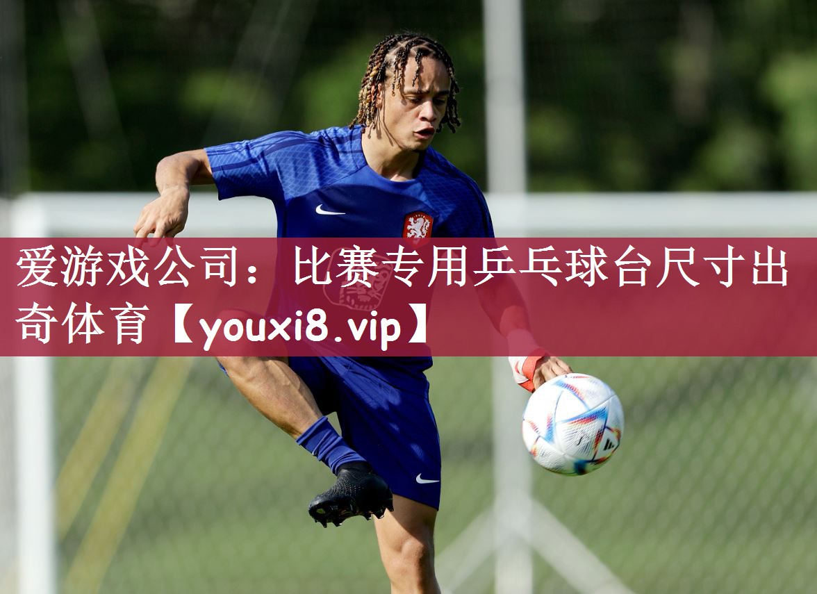 爱游戏公司：比赛专用乒乓球台尺寸出奇体育