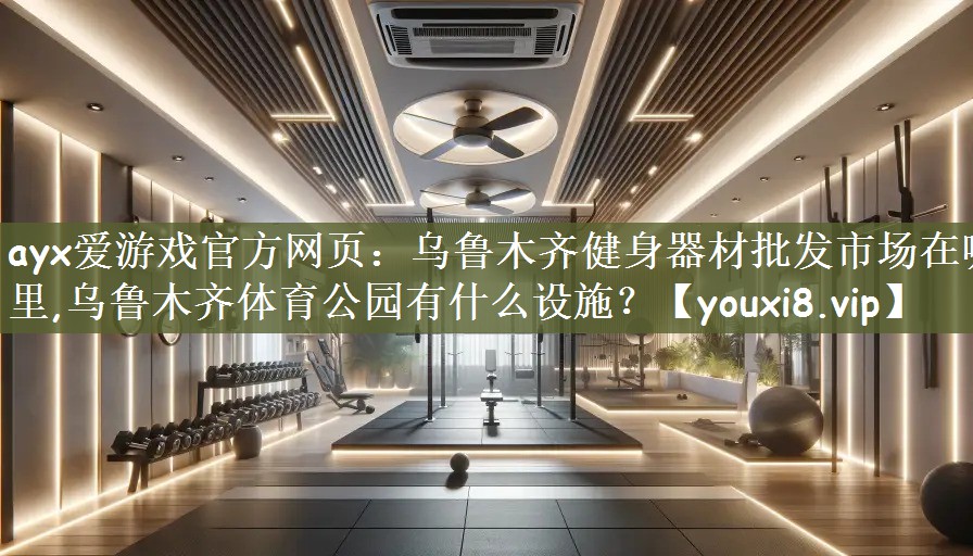 ayx爱游戏官方网页：乌鲁木齐健身器材批发市场在哪里,乌鲁木齐体育公园有什么设施？