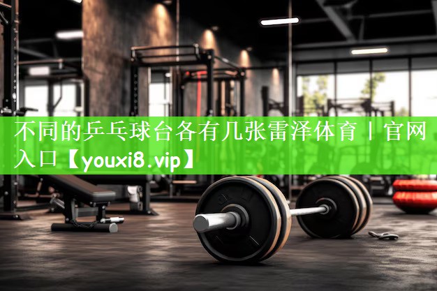 不同的乒乓球台各有几张雷泽体育｜官网入口