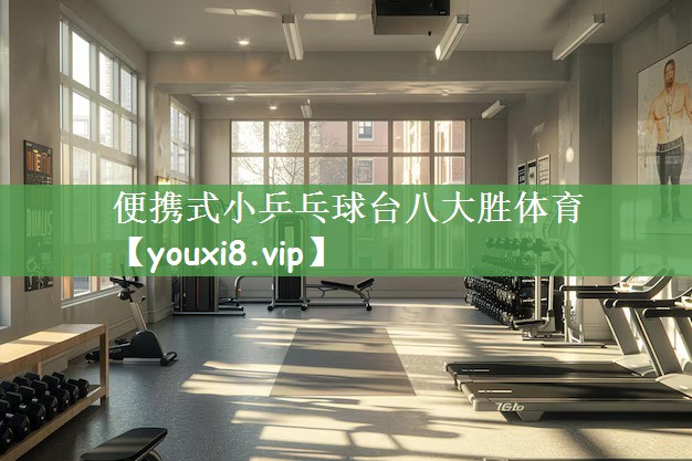 便携式小乒乓球台八大胜体育