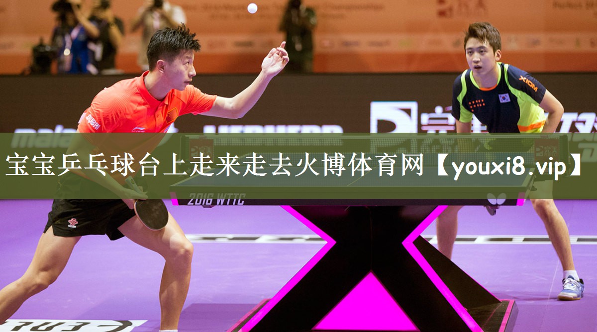 宝宝乒乓球台上走来走去火博体育网