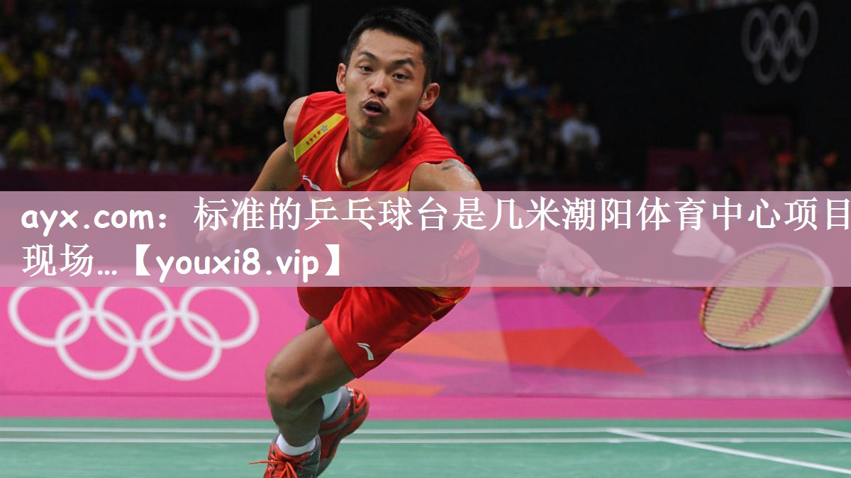 ayx.com：标准的乒乓球台是几米潮阳体育中心项目现场…