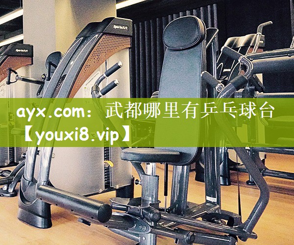 ayx.com：武都哪里有乒乓球台