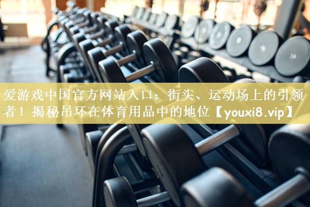 爱游戏中国官方网站入口：街头、运动场上的引领者！揭秘吊环在体育用品中的地位
