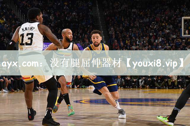 ayx.com：没有腿屈伸器材