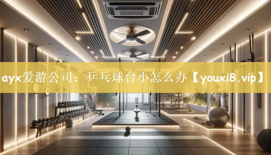 乒乓球台小怎么办
