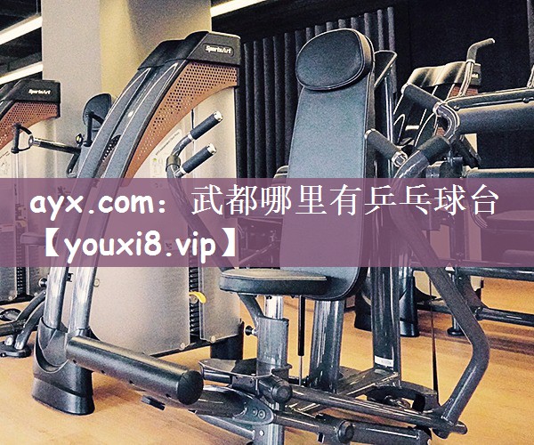 武都哪里有乒乓球台