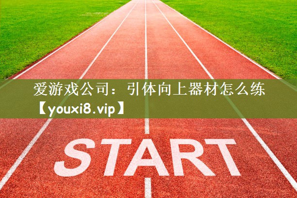 爱游戏公司：引体向上器材怎么练