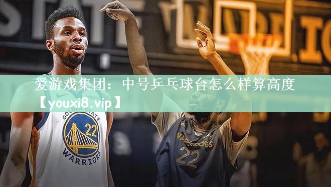 爱游戏集团：中号乒乓球台怎么样算高度