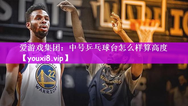 中号乒乓球台怎么样算高度